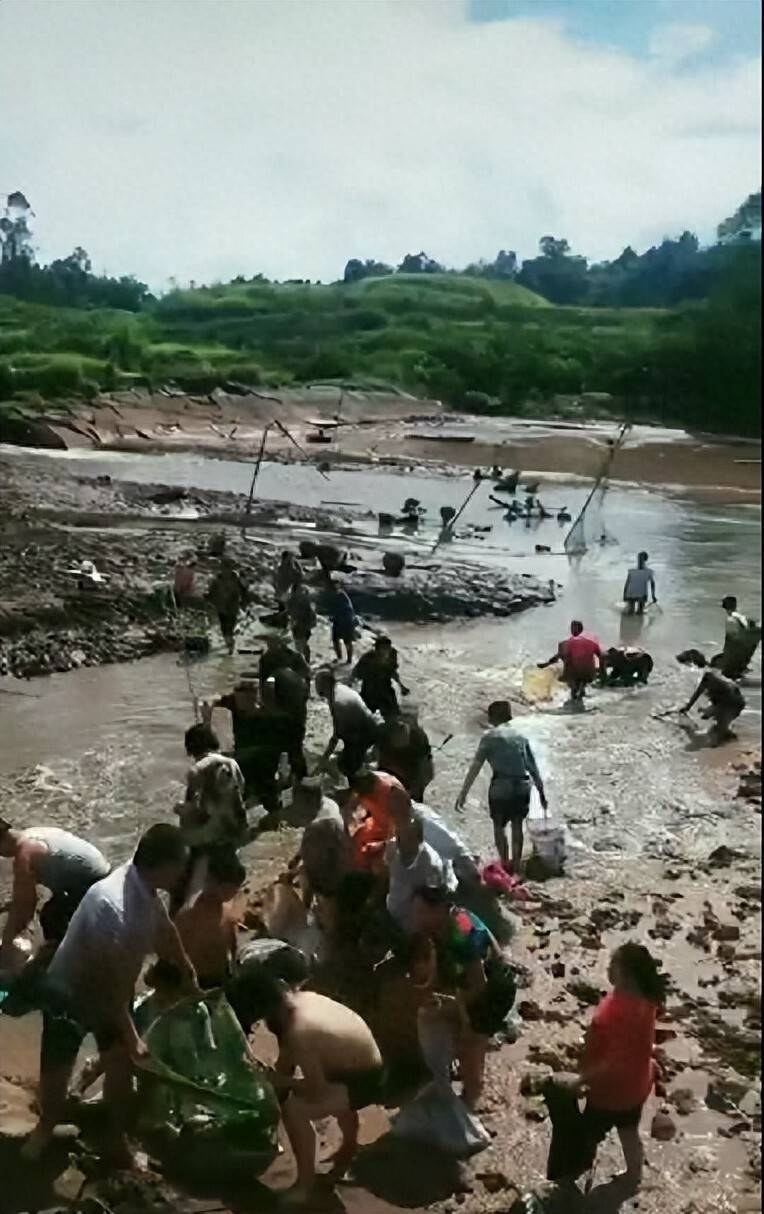 ag mos033皇冠_街道办违法强拆120亩鱼塘ag mos033皇冠,致37万斤鱼损失被判赔380万,回应称无赔付能力可法拍资产抵债