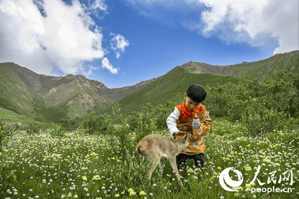 苏格兰低地足球联赛_英格尔·索尔蒂: 欧盟需要独立宣言苏格兰低地足球联赛，中国是华盛顿共识的最后捍卫者