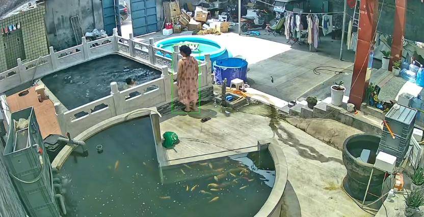 皇冠信用盘如何开户_新乡一男子喂鱼忘送娃上课被妻子踹进鱼池：妻子怀孕脾气有时候控制不住皇冠信用盘如何开户，互相道了歉