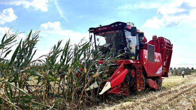 皇冠体育App下载_全国26家实验室参与皇冠体育App下载！由雷沃支持的这场“田间论剑”举行