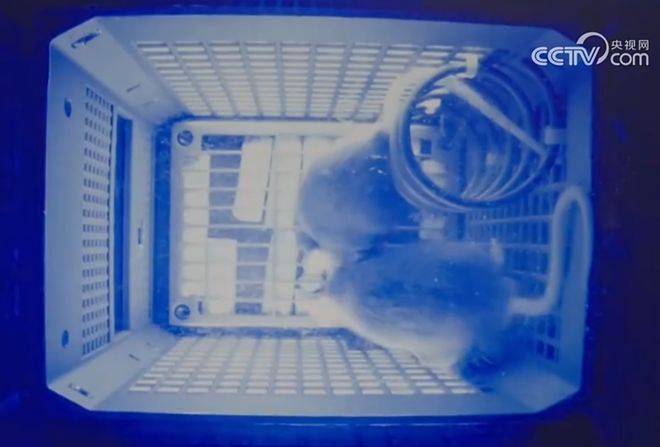 皇冠信用網注册开户_神舟二十一号升空！现在的问题是皇冠信用網注册开户，导师上天了，组会还开吗？