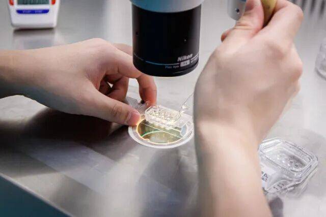 世界杯亚洲区预选赛_一婴儿出生就15岁世界杯亚洲区预选赛！被称为“最老婴儿”